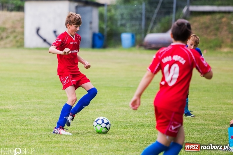 Zdjęcie w galerii na portalu naszraciborz.pl: Turniej piłkarski Orlik Cup w Nędzy wiadomości z regionu