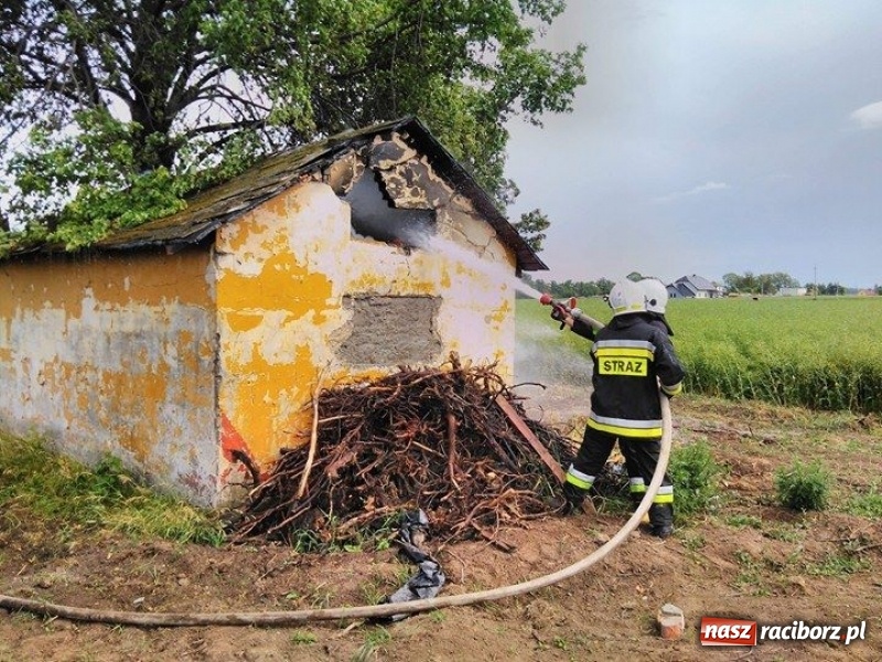 Zdjęcie w galerii na portalu naszraciborz.pl: Pożar altany w Pietrowicach Wielkich. Strażacy nie wykluczają podpalenia wiadomości z regionu