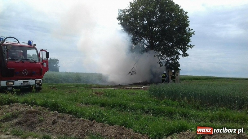 Zdjęcie w galerii na portalu naszraciborz.pl: Pożar altany w Pietrowicach Wielkich. Strażacy nie wykluczają podpalenia wiadomości z regionu