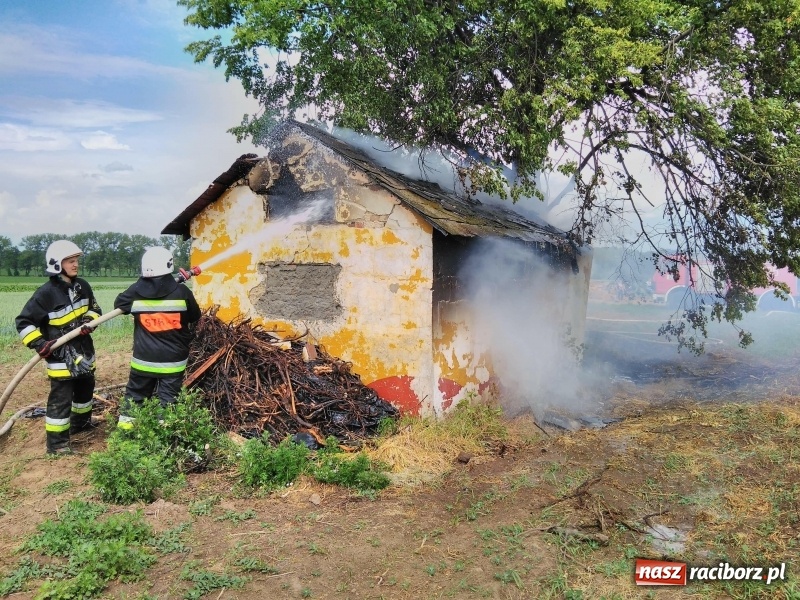 Zdjęcie w galerii na portalu naszraciborz.pl: Pożar altany w Pietrowicach Wielkich. Strażacy nie wykluczają podpalenia wiadomości z regionu