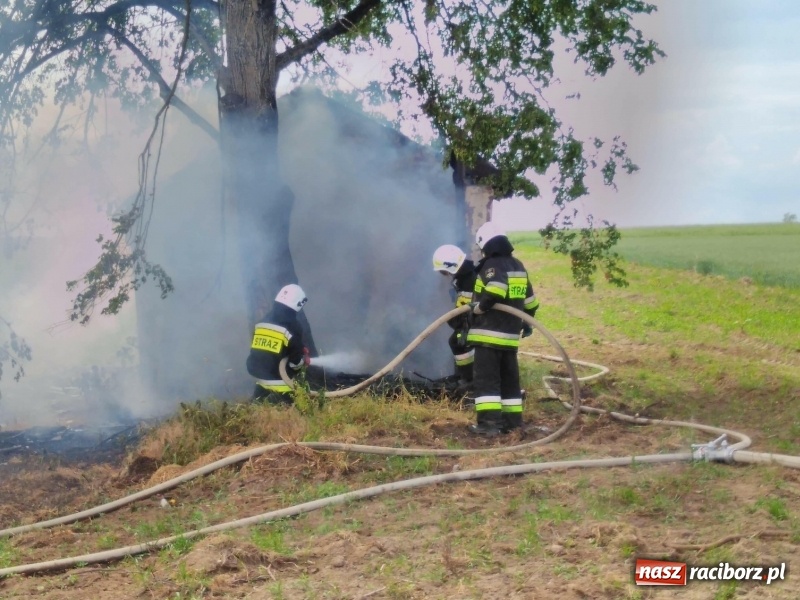 Zdjęcie w galerii na portalu naszraciborz.pl: Pożar altany w Pietrowicach Wielkich. Strażacy nie wykluczają podpalenia wiadomości z regionu