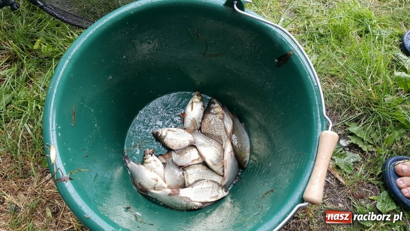 Zdjęcie w galerii na portalu naszraciborz.pl: Dzień Dziecka świętowali z wędkami wiadomości z regionu