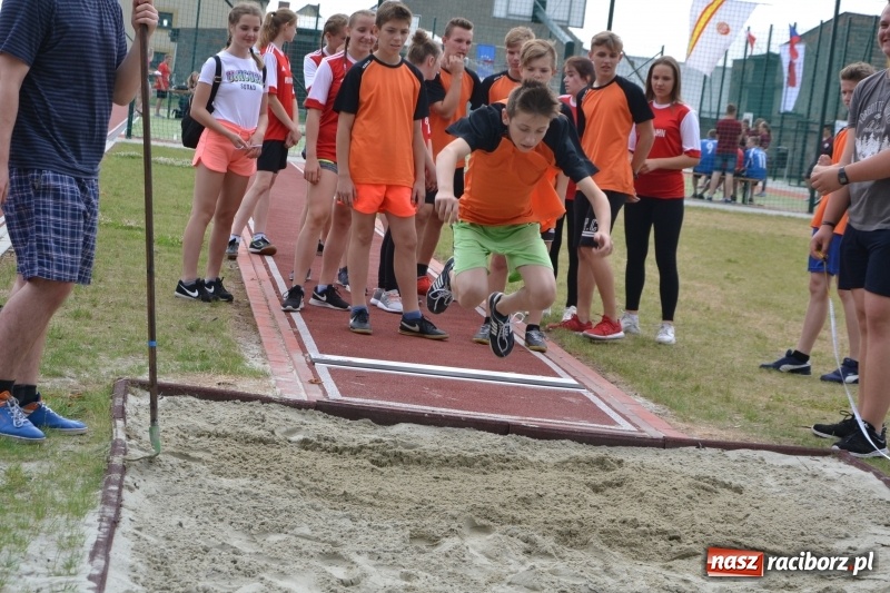 Zdjęcie w galerii na portalu naszraciborz.pl: Międzynarodowa Olimpiada Sportowa w Bieńkowicach wiadomości z regionu