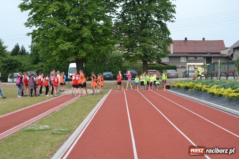 Zdjęcie w galerii na portalu naszraciborz.pl: Międzynarodowa Olimpiada Sportowa w Bieńkowicach wiadomości z regionu