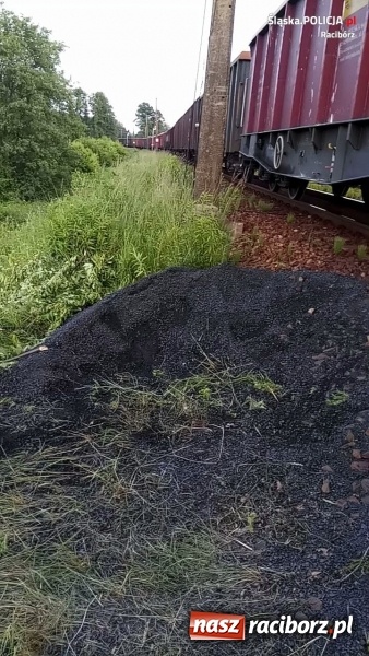 Zdjęcie w galerii na portalu naszraciborz.pl: Sprawca kradzieży węgla ujęty na gorącym uczynku wiadomości z regionu