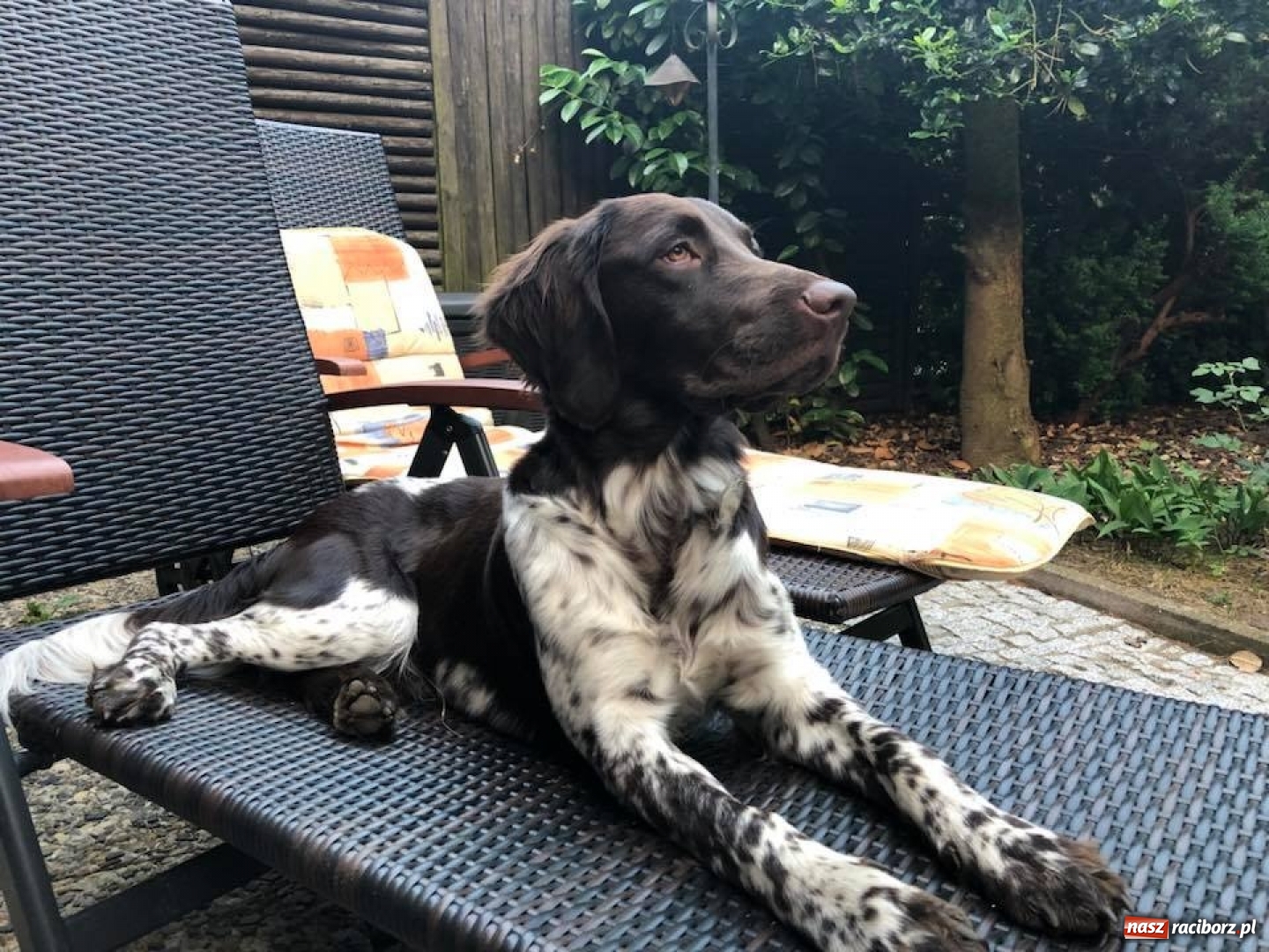 Zdjęcie w galerii na portalu naszraciborz.pl: Objazdowa wycieczka uczniów i nauczycieli SP 4 do Barcelony wiadomości z regionu