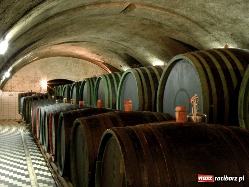 Zdjęcie w galerii na portalu naszraciborz.pl: Zamki, pałace, ogrody kwiatowe i piwnice winne – poznaj z nami Bramę Morawską! wiadomości z regionu