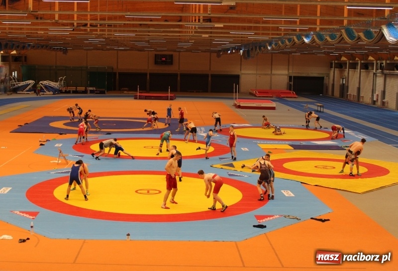 Zdjęcie w galerii na portalu naszraciborz.pl: Zgrupowanie polskich, niemieckich i białoruskich zapaśników w Raciborzu wiadomości z regionu