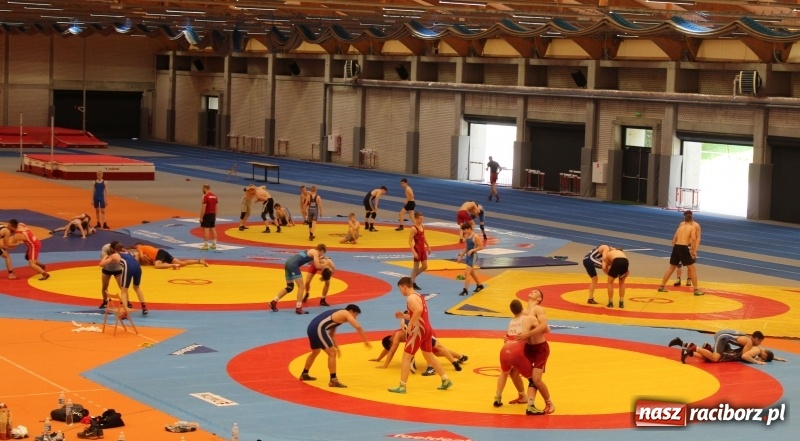 Zdjęcie w galerii na portalu naszraciborz.pl: Zgrupowanie polskich, niemieckich i białoruskich zapaśników w Raciborzu wiadomości z regionu