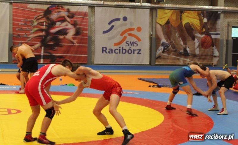 Zdjęcie w galerii na portalu naszraciborz.pl: Zgrupowanie polskich, niemieckich i białoruskich zapaśników w Raciborzu wiadomości z regionu