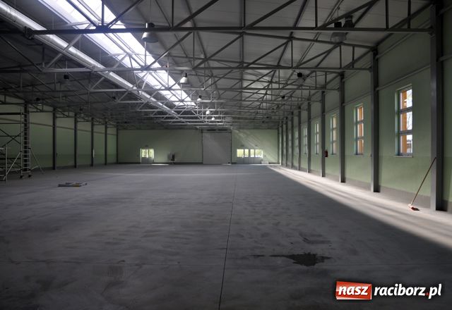 Zdjęcie w galerii na portalu naszraciborz.pl: To będzie rekordowa X Eko-wystawa wiadomości z regionu