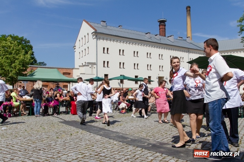 Zdjęcie w galerii na portalu naszraciborz.pl: Festiwal Dziesiątka i przyjaciele - wspólna zabawa na raciborskim Zamku wiadomości z regionu