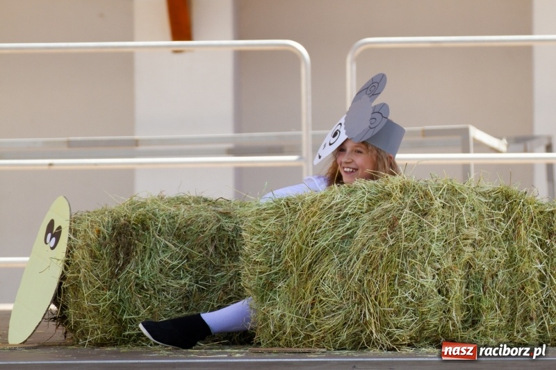 Zdjęcie w galerii na portalu naszraciborz.pl: Festiwal Dziesiątka i przyjaciele - wspólna zabawa na raciborskim Zamku wiadomości z regionu