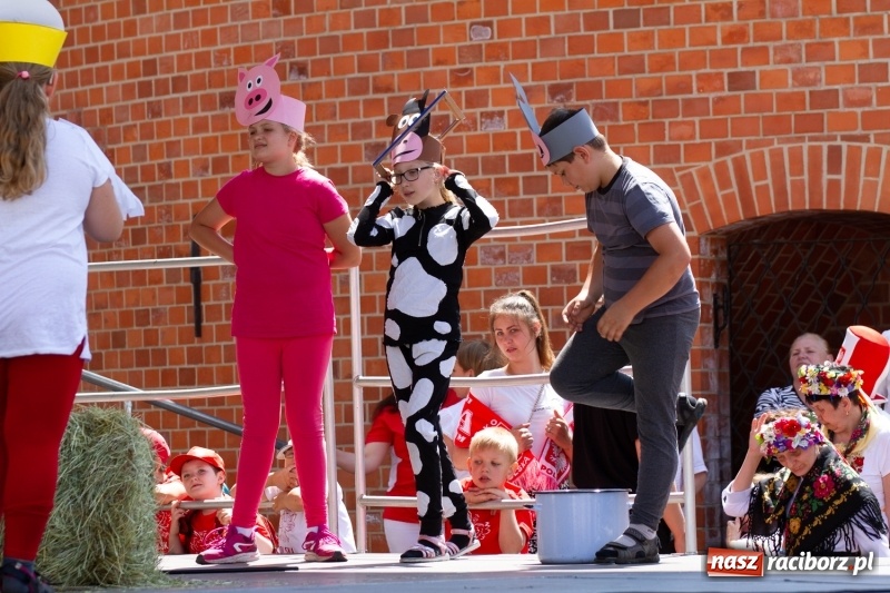 Zdjęcie w galerii na portalu naszraciborz.pl: Festiwal Dziesiątka i przyjaciele - wspólna zabawa na raciborskim Zamku wiadomości z regionu