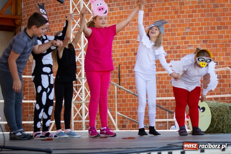 Zdjęcie w galerii na portalu naszraciborz.pl: Festiwal Dziesiątka i przyjaciele - wspólna zabawa na raciborskim Zamku wiadomości z regionu