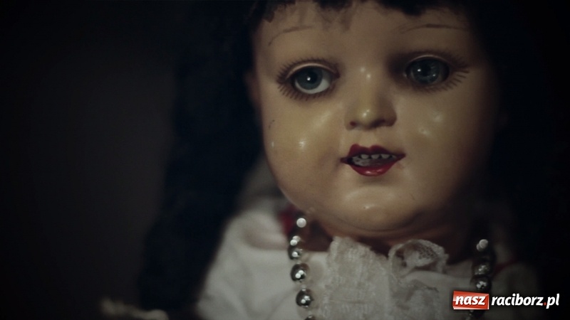 Zdjęcie w galerii na portalu naszraciborz.pl: Złoty Motyl doleciał z Gruzji do Raciborza WIDEO wiadomości z regionu