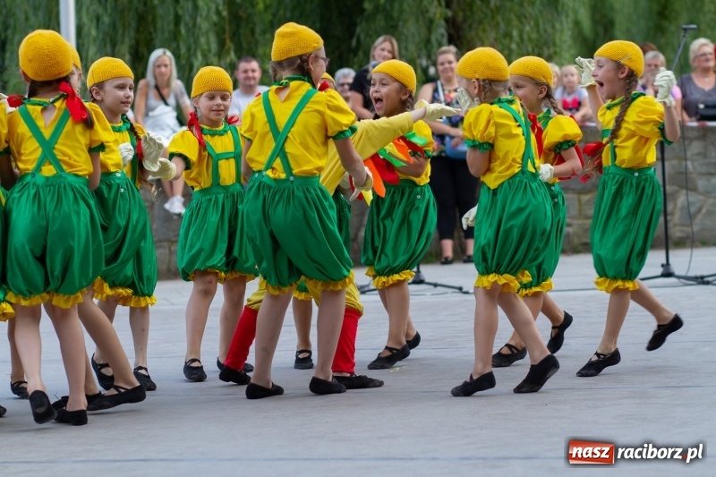 Zdjęcie w galerii na portalu naszraciborz.pl: Magiczna i kolorowa I Raciborska Noc Świętojańska z folklorem wiadomości z regionu