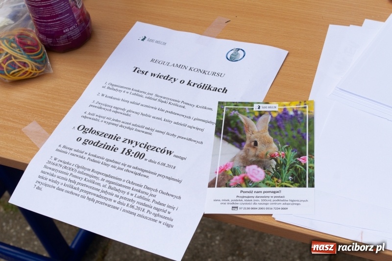 Zdjęcie w galerii na portalu naszraciborz.pl: Festynem rodzinnym SP 15 wita nadchodzące wakacje  wiadomości z regionu