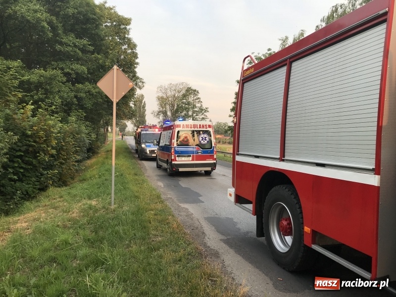 Zdjęcie w galerii na portalu naszraciborz.pl: Dachowanie forda na trasie Racibórz-Rybnik  wiadomości z regionu