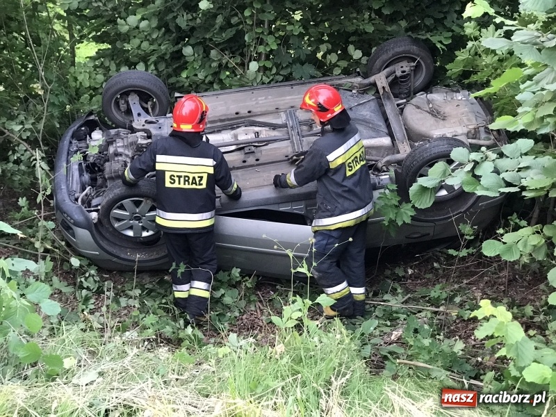 Zdjęcie w galerii na portalu naszraciborz.pl: Dachowanie forda na trasie Racibórz-Rybnik  wiadomości z regionu