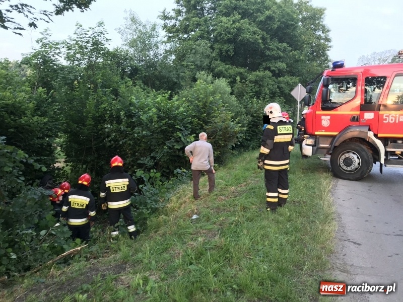 Zdjęcie w galerii na portalu naszraciborz.pl: Dachowanie forda na trasie Racibórz-Rybnik  wiadomości z regionu