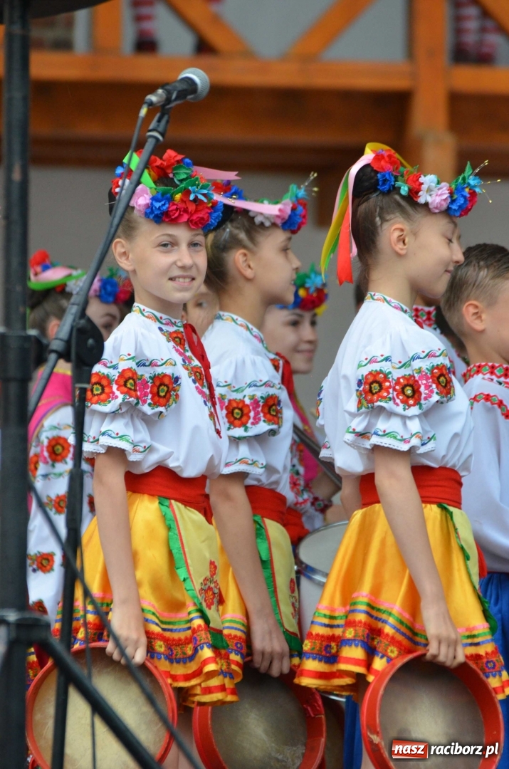 Zdjęcie w galerii na portalu naszraciborz.pl: Roztańczony i kolorowy raciborski zamek  wiadomości z regionu