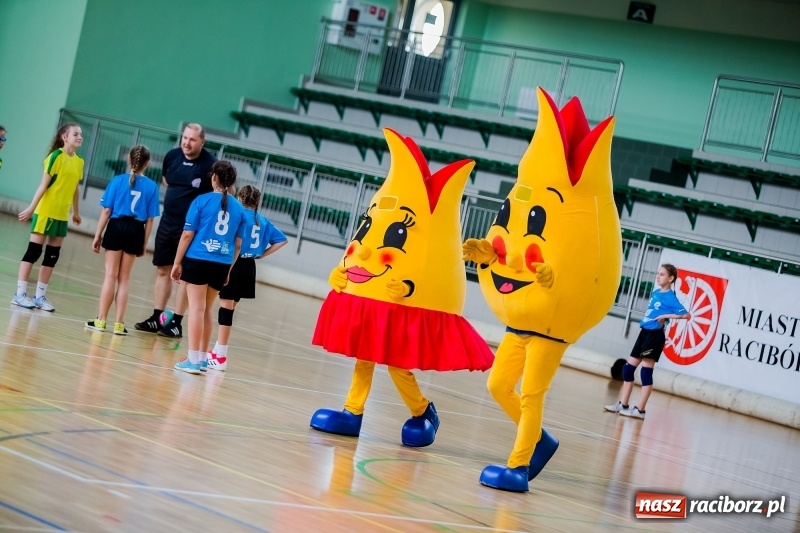 Zdjęcie w galerii na portalu naszraciborz.pl: Piłkarki ręczne UKS Pietrowice Wielkie brązowymi medalistkami mistrzostw Śląska  wiadomości z regionu