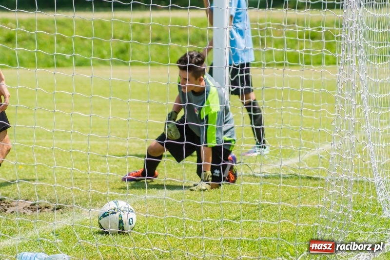 Zdjęcie w galerii na portalu naszraciborz.pl: Bez niespodzianki przy Łąkowej. Juniorzy Górek Śląskich z mistrzostwem wiadomości z regionu