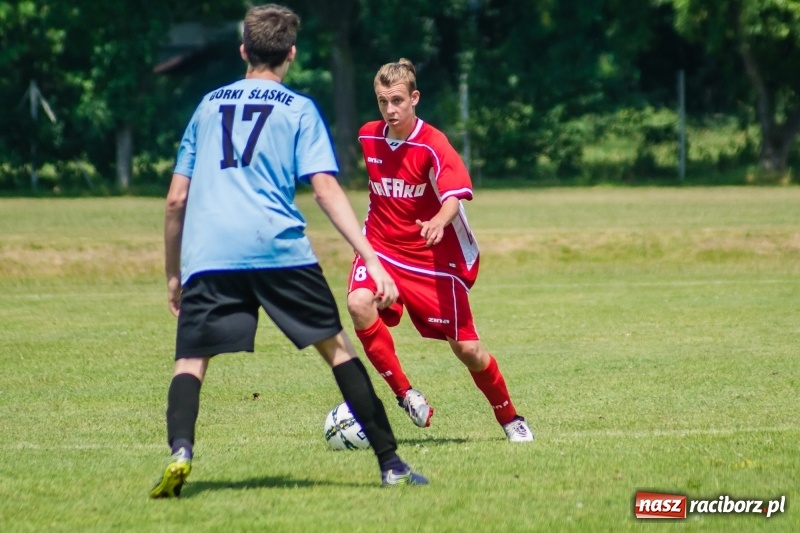 Zdjęcie w galerii na portalu naszraciborz.pl: Bez niespodzianki przy Łąkowej. Juniorzy Górek Śląskich z mistrzostwem wiadomości z regionu