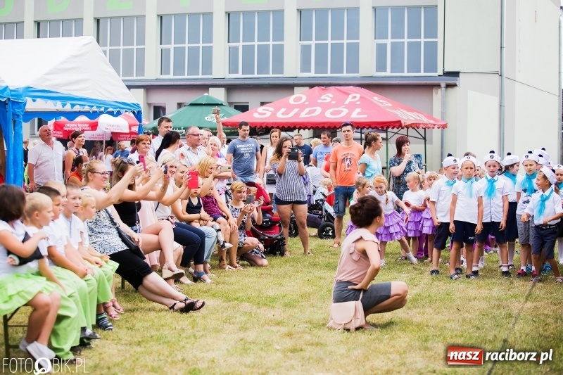 Zdjęcie w galerii na portalu naszraciborz.pl: Festyn rodzinny z Kopciuszkiem w Studziennej wiadomości z regionu