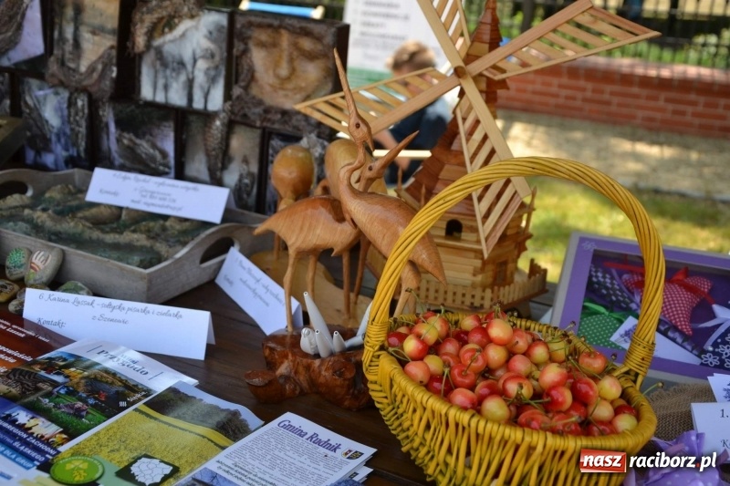 Zdjęcie w galerii na portalu naszraciborz.pl: I edycja Święta Powiatu Raciborskiego na Zamku Piastowskim za nami wiadomości z regionu