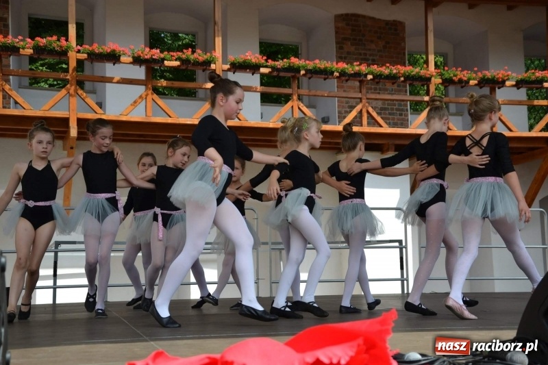 Zdjęcie w galerii na portalu naszraciborz.pl: I edycja Święta Powiatu Raciborskiego na Zamku Piastowskim za nami wiadomości z regionu