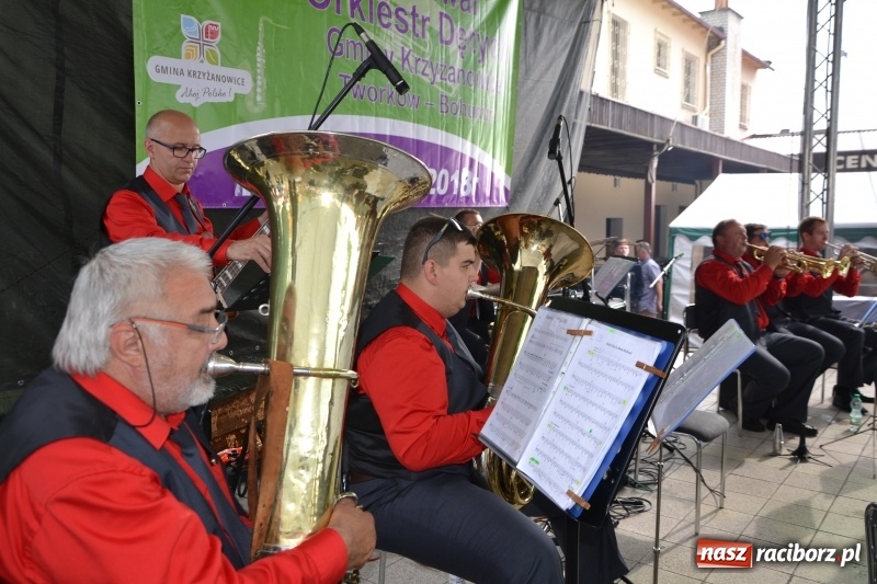 Zdjęcie w galerii na portalu naszraciborz.pl: VI Festiwal Orkiestr Dętych w Tworkowie wiadomości z regionu