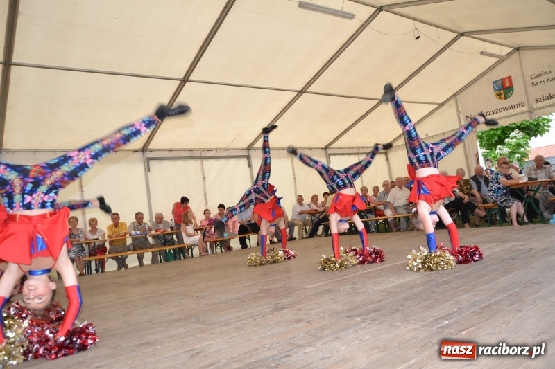 Zdjęcie w galerii na portalu naszraciborz.pl: VI Festiwal Orkiestr Dętych w Tworkowie wiadomości z regionu