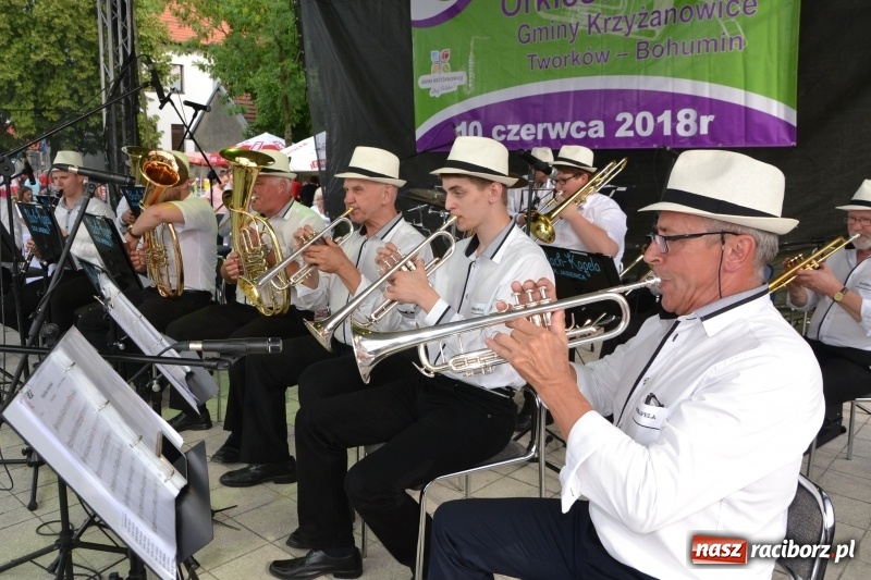 Zdjęcie w galerii na portalu naszraciborz.pl: VI Festiwal Orkiestr Dętych w Tworkowie wiadomości z regionu