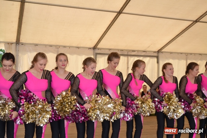 Zdjęcie w galerii na portalu naszraciborz.pl: VI Festiwal Orkiestr Dętych w Tworkowie wiadomości z regionu