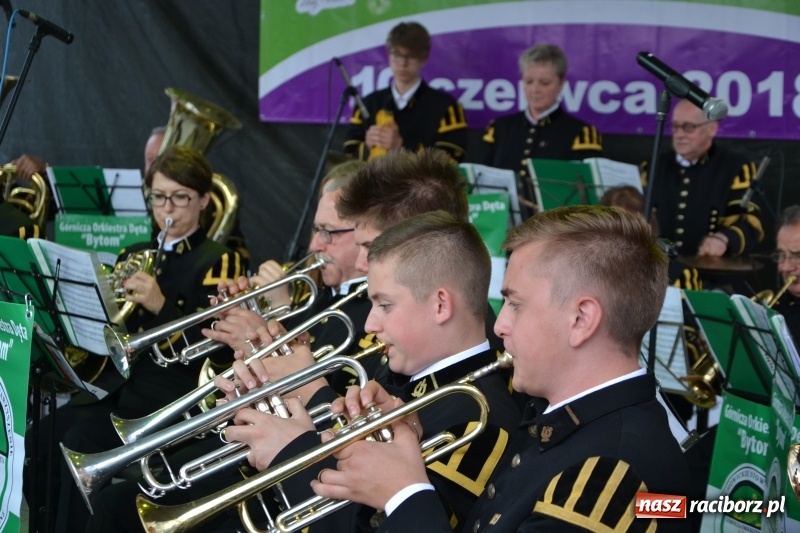 Zdjęcie w galerii na portalu naszraciborz.pl: VI Festiwal Orkiestr Dętych w Tworkowie wiadomości z regionu