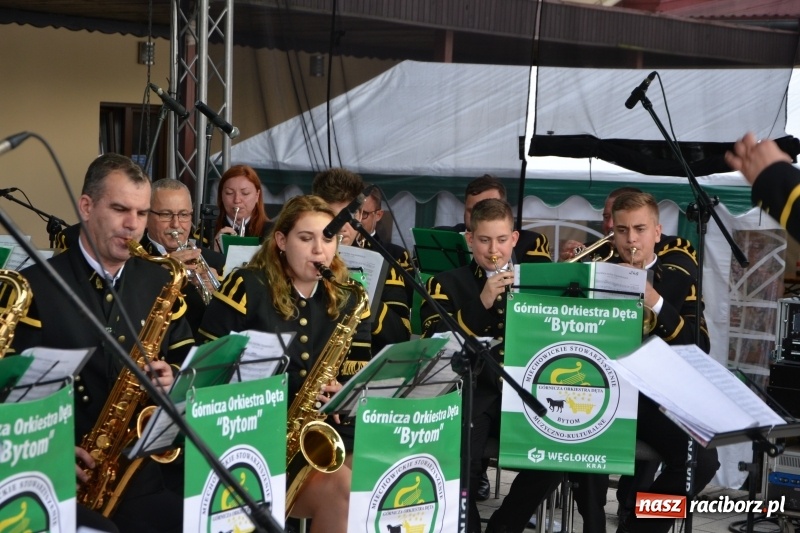 Zdjęcie w galerii na portalu naszraciborz.pl: VI Festiwal Orkiestr Dętych w Tworkowie wiadomości z regionu