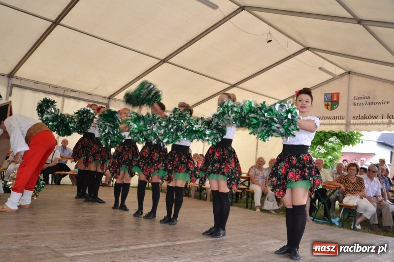 Zdjęcie w galerii na portalu naszraciborz.pl: VI Festiwal Orkiestr Dętych w Tworkowie wiadomości z regionu