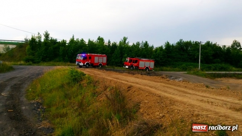 Zdjęcie w galerii na portalu naszraciborz.pl: Na polu w Krzyżanowicach odnaleziono niewybuch  wiadomości z regionu