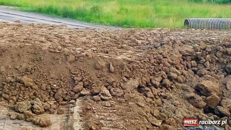 Zdjęcie w galerii na portalu naszraciborz.pl: Na polu w Krzyżanowicach odnaleziono niewybuch  wiadomości z regionu