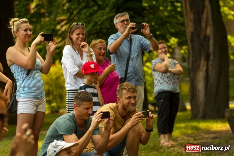 Zdjęcie w galerii na portalu naszraciborz.pl: II Piknik Sąsiedzki w Parku Jordanowskim  wiadomości z regionu