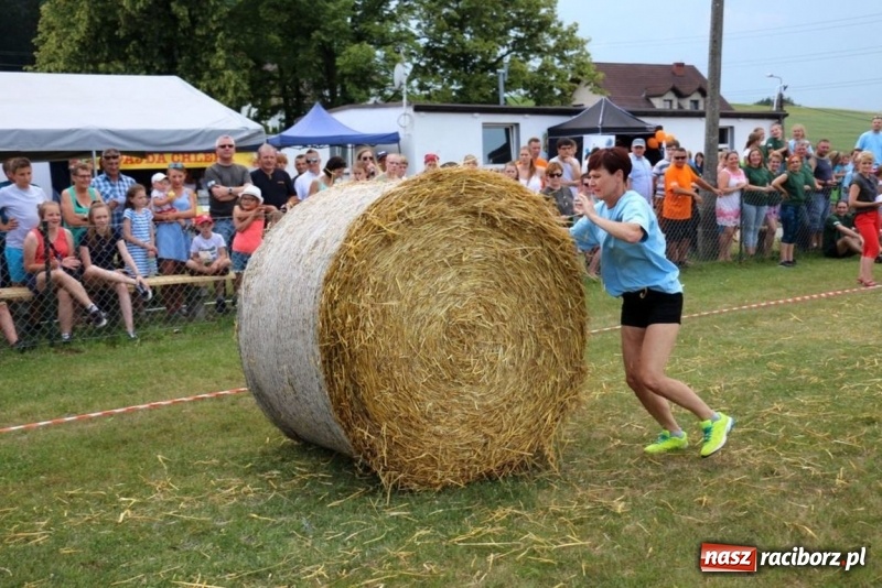 Zdjęcie w galerii na portalu naszraciborz.pl: Olimpiada sportowa o Puchar Wójta Gminy Kornowac w Rzuchowie wiadomości z regionu