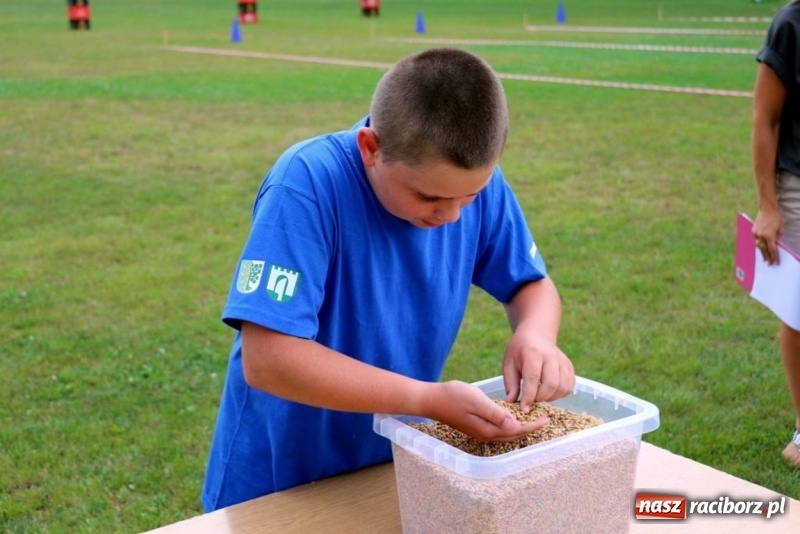 Zdjęcie w galerii na portalu naszraciborz.pl: Olimpiada sportowa o Puchar Wójta Gminy Kornowac w Rzuchowie wiadomości z regionu