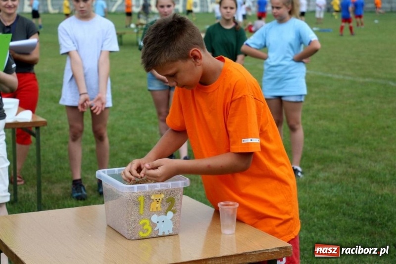 Zdjęcie w galerii na portalu naszraciborz.pl: Olimpiada sportowa o Puchar Wójta Gminy Kornowac w Rzuchowie wiadomości z regionu
