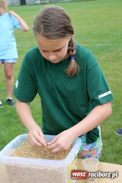 Zdjęcie w galerii na portalu naszraciborz.pl: Olimpiada sportowa o Puchar Wójta Gminy Kornowac w Rzuchowie wiadomości z regionu