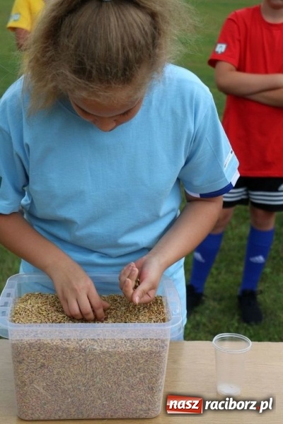 Zdjęcie w galerii na portalu naszraciborz.pl: Olimpiada sportowa o Puchar Wójta Gminy Kornowac w Rzuchowie wiadomości z regionu
