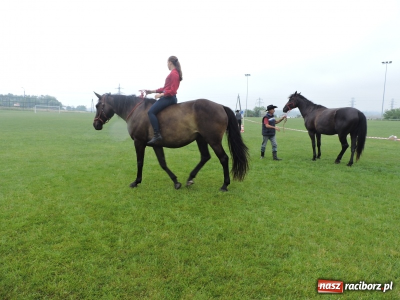 Zdjęcie w galerii na portalu naszraciborz.pl: Wiwat zdrowie, wiwat ruch, w zdrowym ciele zdrowy duch, czyli XVI Piknik Sportowy w przedszkolu numer 16 wiadomości z regionu