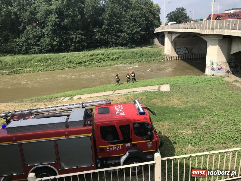 Zdjęcie w galerii na portalu naszraciborz.pl: Akcja na moście Zamkowym. Strażacy ratowali dziewczynę, która chciała skoczyć do Odry wiadomości z regionu