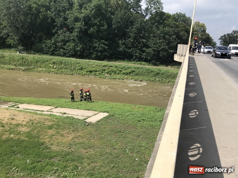 Zdjęcie w galerii na portalu naszraciborz.pl: Akcja na moście Zamkowym. Strażacy ratowali dziewczynę, która chciała skoczyć do Odry wiadomości z regionu